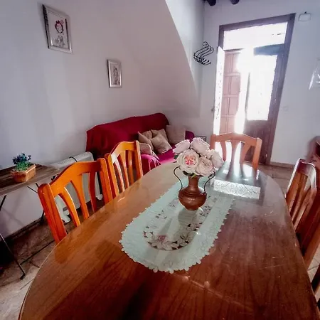 Flores, Disfruta En El Centro De