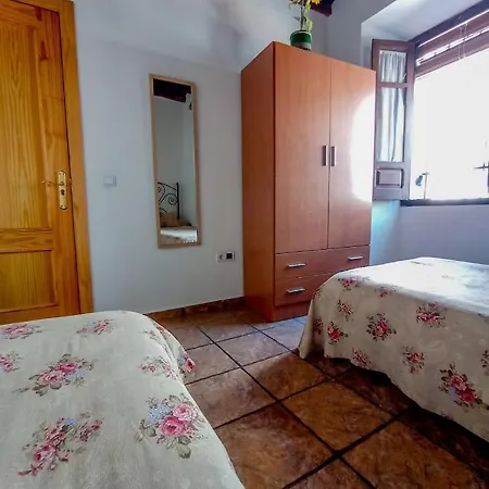 Flores, Disfruta En El Centro De *