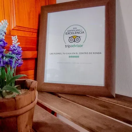 Flores, Disfruta En El Centro De Appartement Ronda