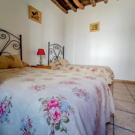 Flores, Disfruta En El Centro De *