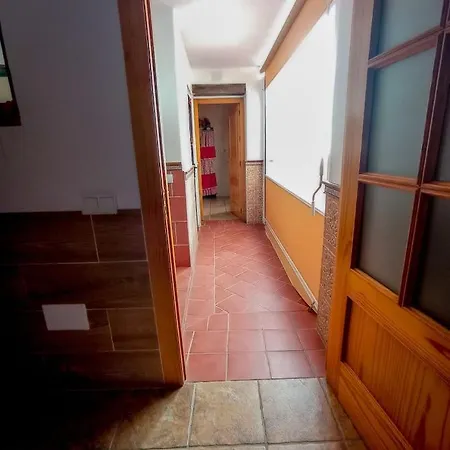 Flores, Disfruta En El Centro De *