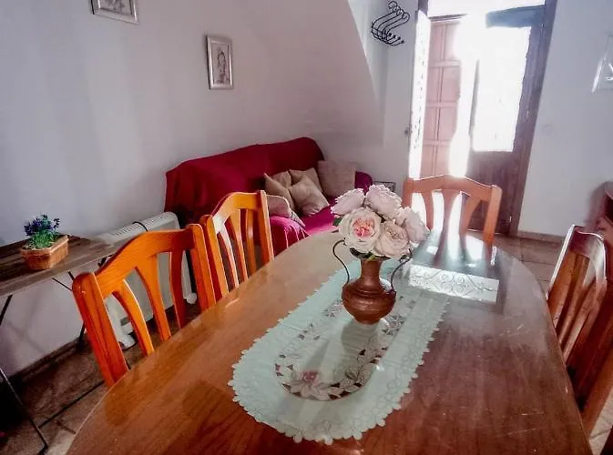 Flores, Disfruta En El Centro De