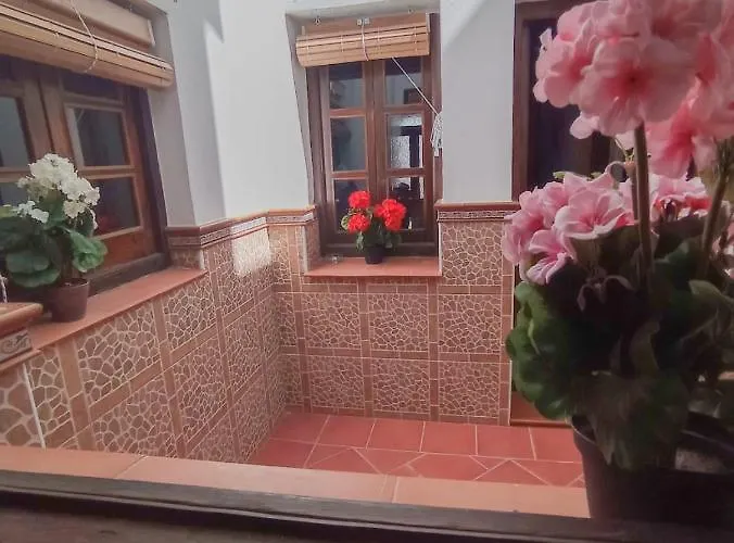 Flores, Disfruta En El Centro De דירה