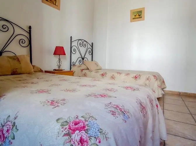 Flores, Disfruta En El Centro De *