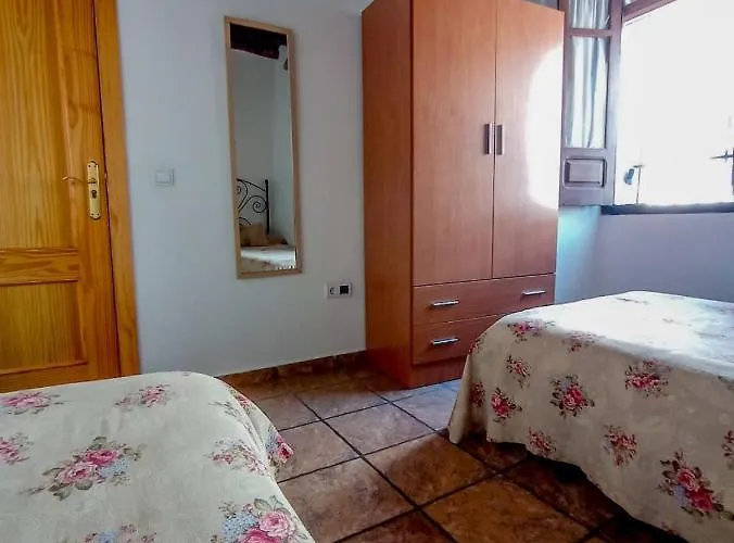 Flores, Disfruta En El Centro De *