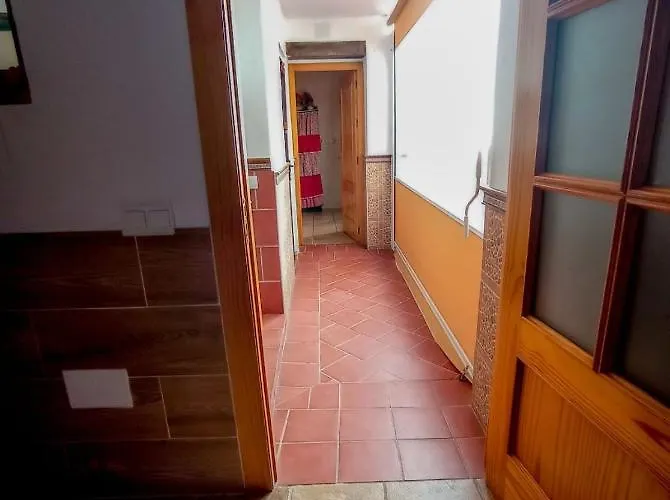 Flores, Disfruta En El Centro De *