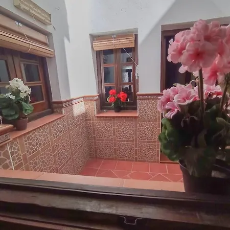 Flores, Disfruta En El Centro De Lejlighed